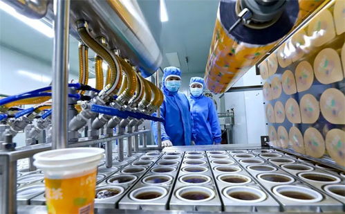 科技赋能小特产升级大产业 张掖临泽的数字化转型之路